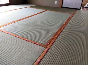 富士百彩　秋　オレンジ　